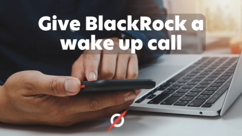 Image of phone and laptop with text saying:Give BlackRock a wake up call